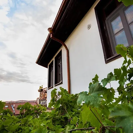 Zdravets, In The Heart Of The Old Veliko Tarnovo