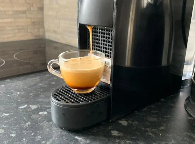 Apartment Zdravets, In The Heart Of The Old *