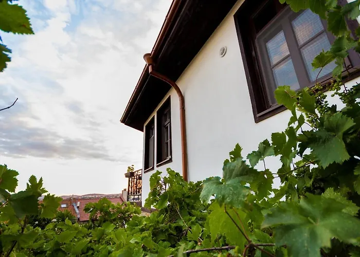 Zdravets, In The Heart Of The Old Veliko Tarnovo
