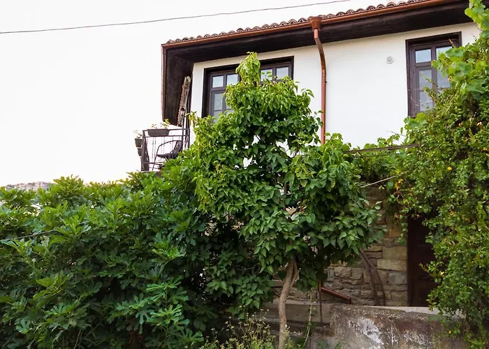 Zdravets, In The Heart Of The Old * Veliko Tarnovo