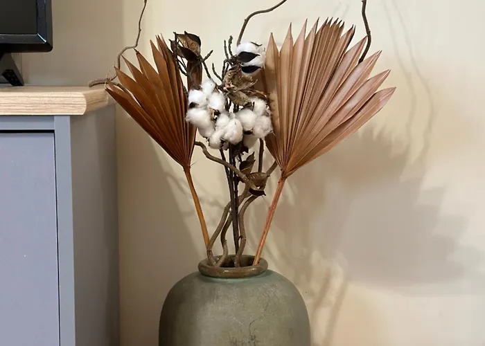 Zdravets, In The Heart Of The Old Veliko Tarnovo